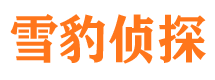 红桥寻人公司